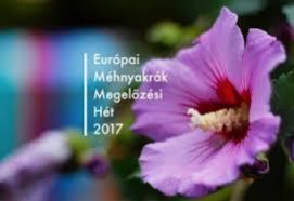 /forrás: http://www.malyvavirag.hu/