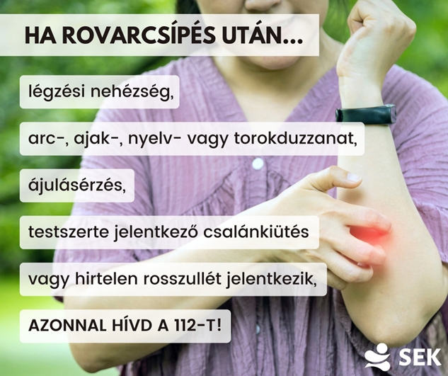 Ha rovarcsípés után…